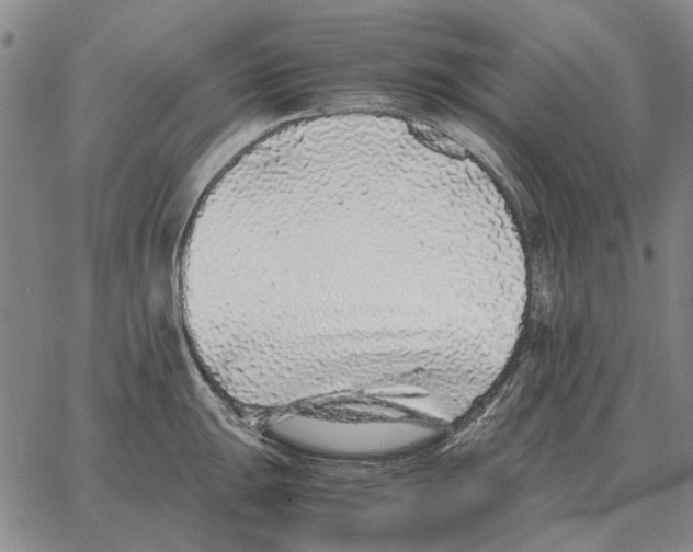 X0000062651047200601181805