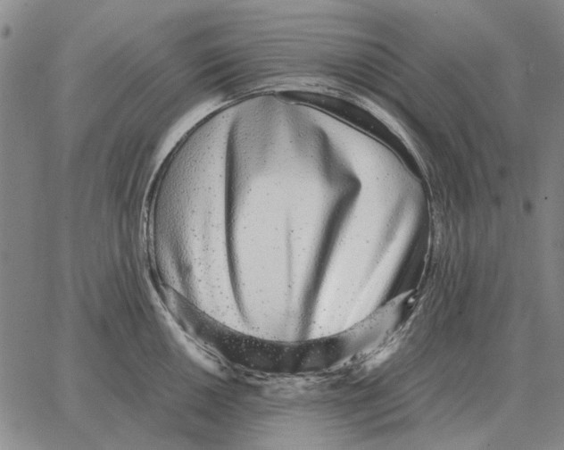 X0000062651050200601181805