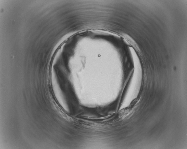 X0000062651052200601181805