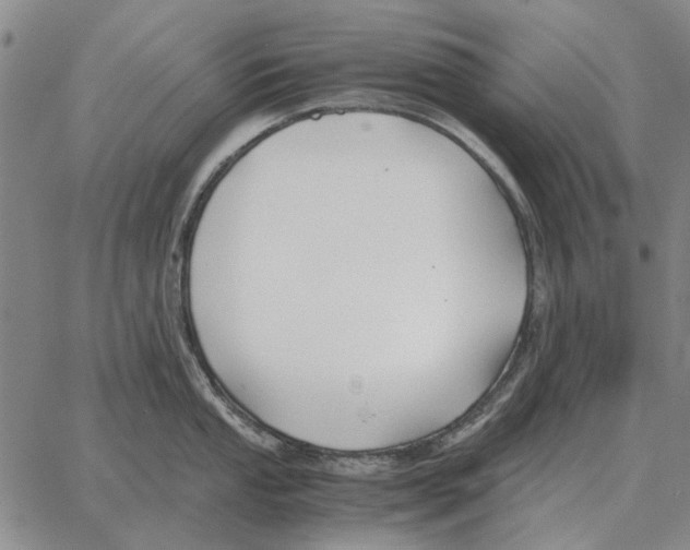 X0000062651053200601181805