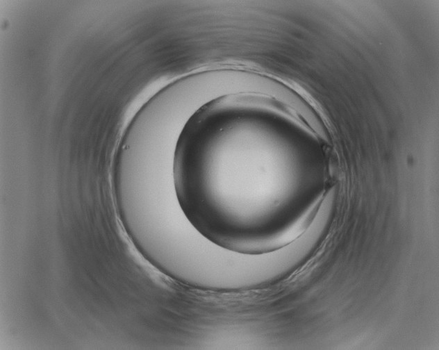 X0000062651054200601181805