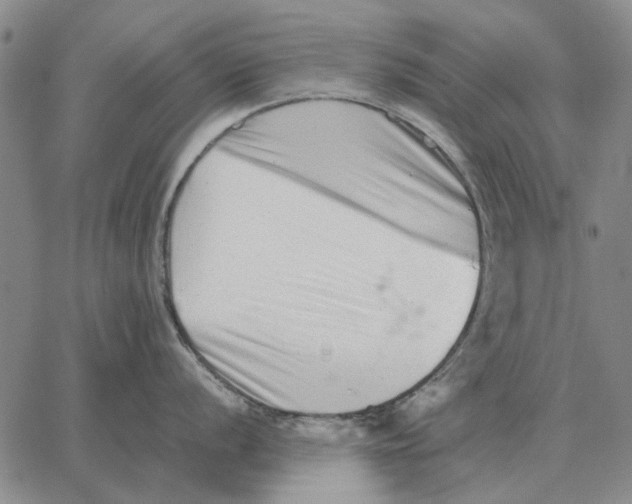 X0000062651056200601181805