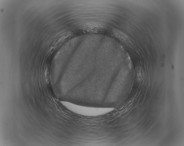 X0000062651060200601181804