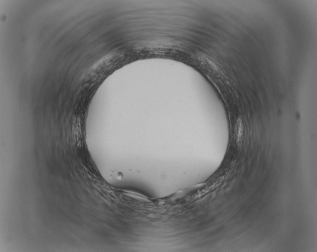 X0000062651062200601181804