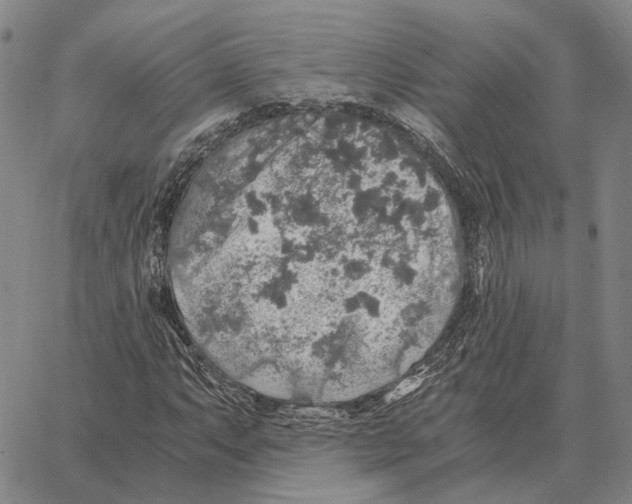 X0000062651063200601181804