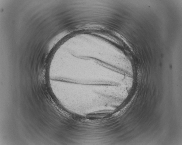 X0000062651066200601181804