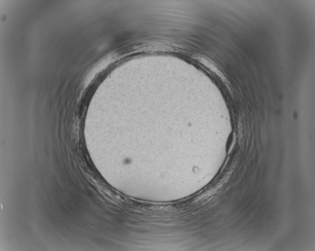 X0000062651067200601181804