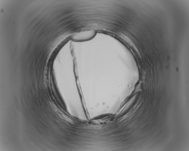 X0000062651068200601181804