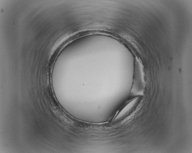 X0000062651069200601181804