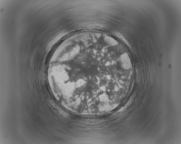 X0000062651071200601181804