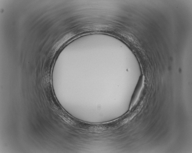 X0000062651073200601181804