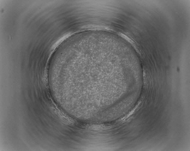 X0000062651074200601181804