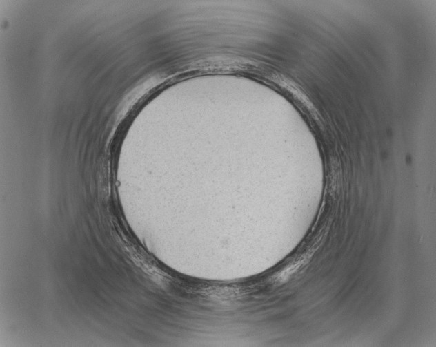 X0000062651075200601181804