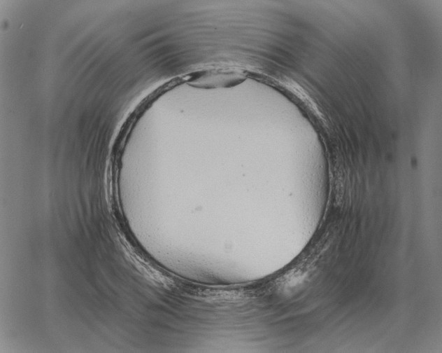 X0000062651076200601181804