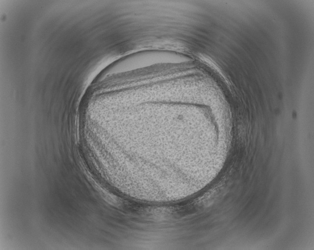 X0000062651079200601181804