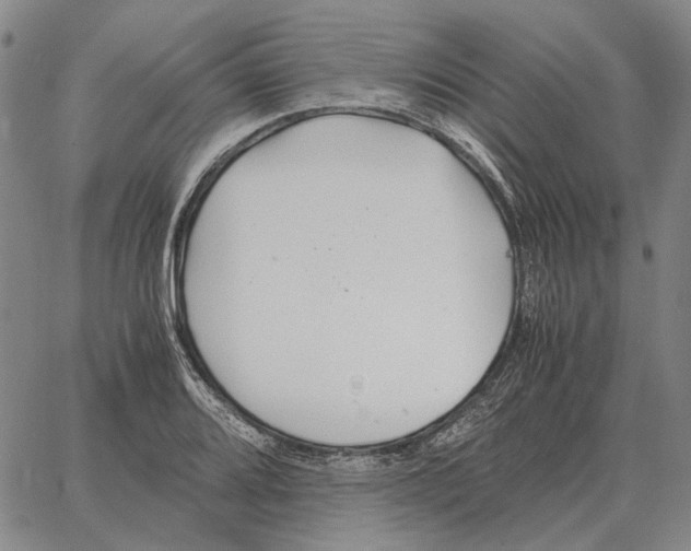 X0000062651080200601181804