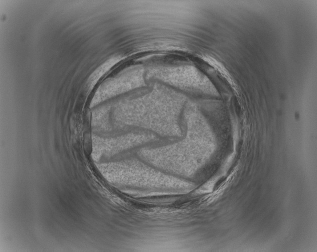 X0000062651081200601181804