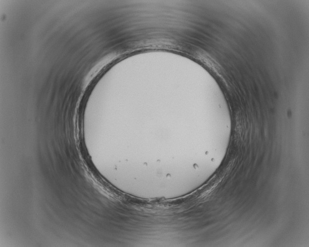 X0000062651082200601181804