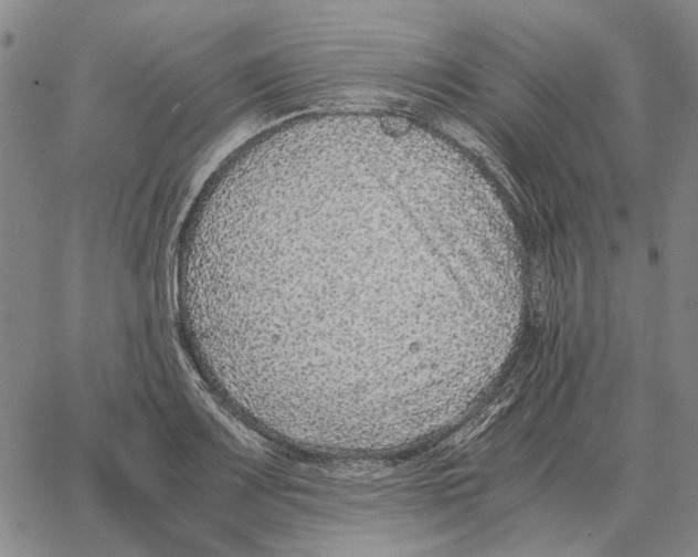 X0000062651083200601181804