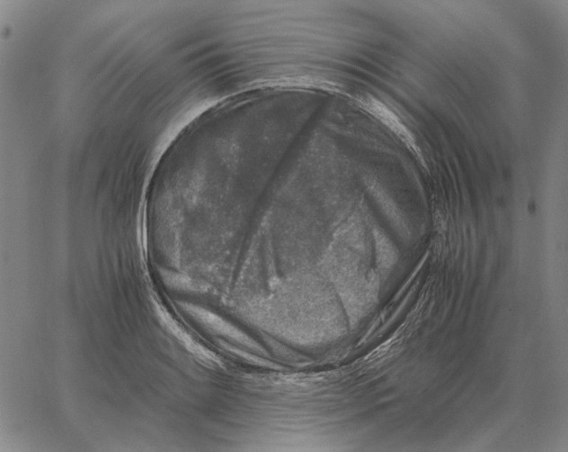 X0000062651084200601181804