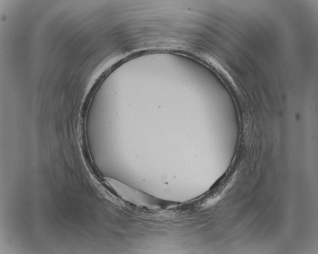 X0000062651085200601181804