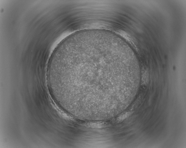 X0000062651086200601181804