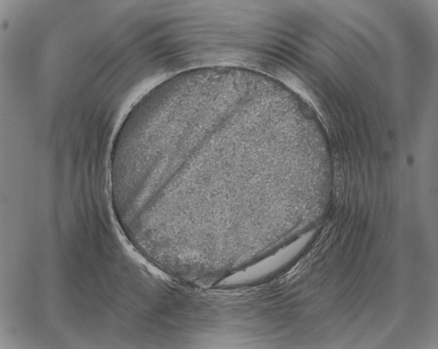 X0000062651088200601181804