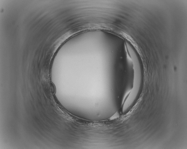 X0000062651089200601181804