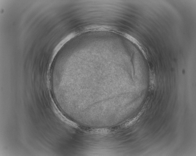 X0000062651090200601181804