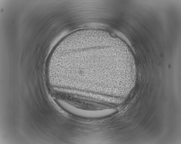 X0000062651091200601181804