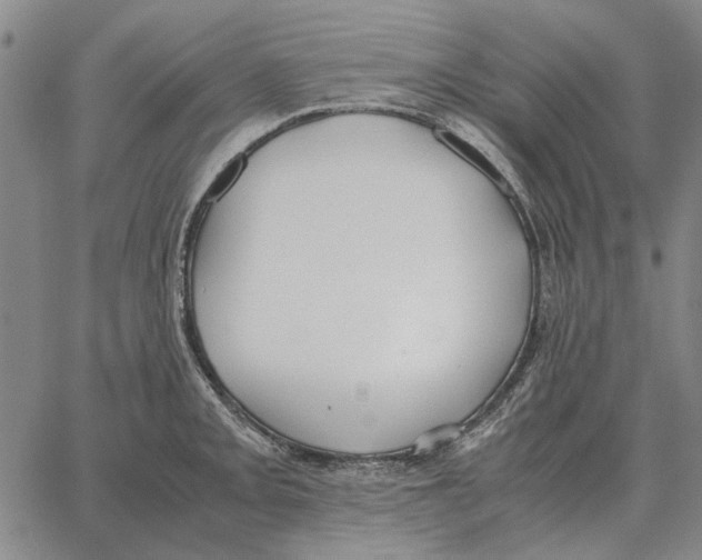 X0000062651093200601181804