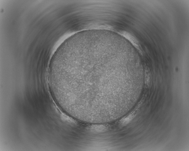 X0000062651094200601181804