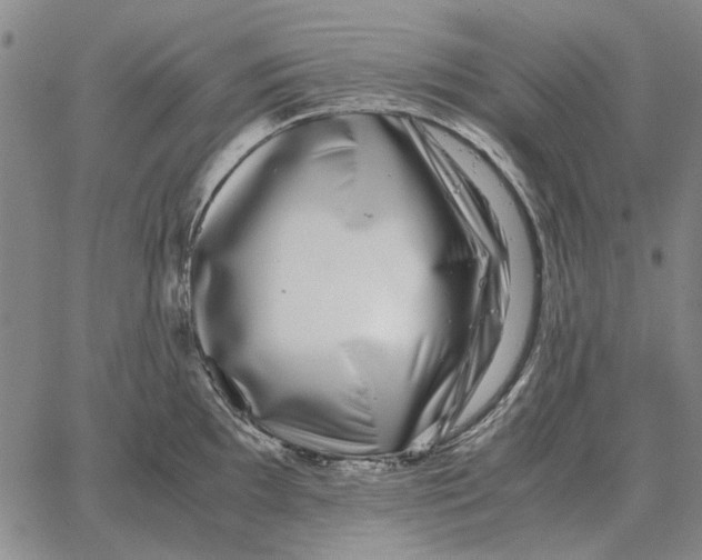 X0000062651097200601181803