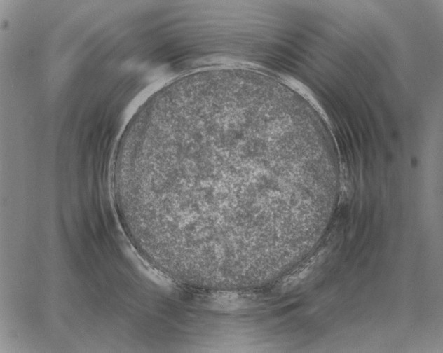 X0000062651098200601181803