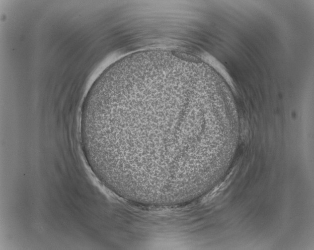 X0000062651099200601181803