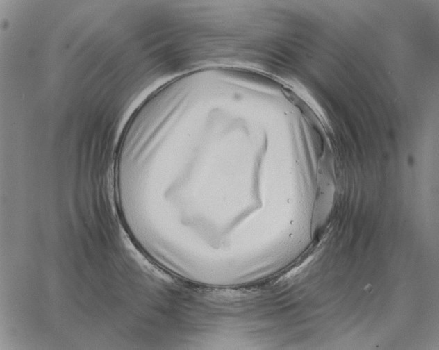 X0000062651100200601181803