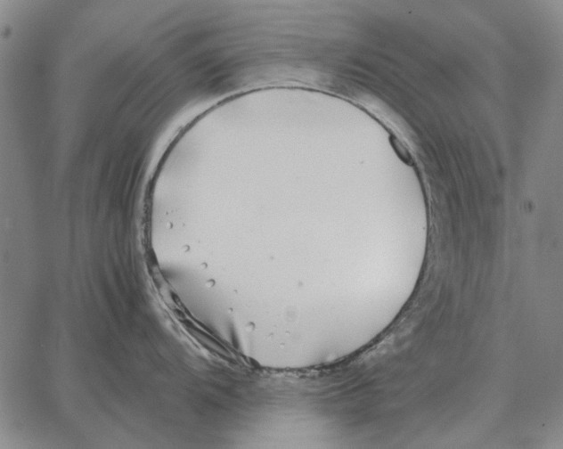 X0000062651104200601181803