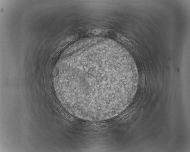 X0000062651105200601181803