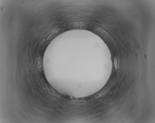 X0000062651107200601181803