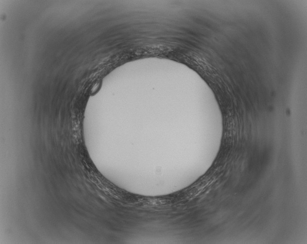 X0000062651109200601181803