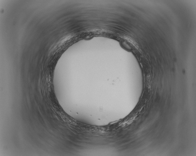 X0000062651111200601181803