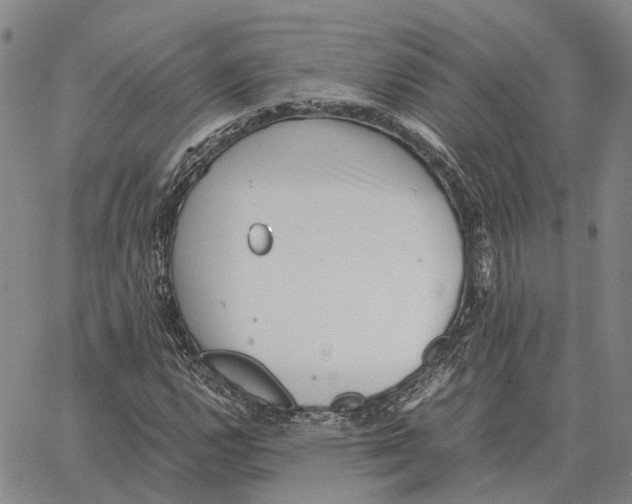 X0000062651112200601181803