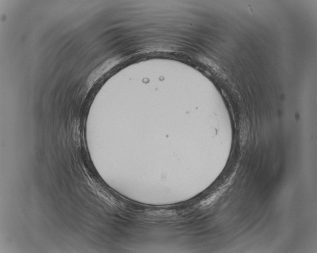 X0000062651113200601181803