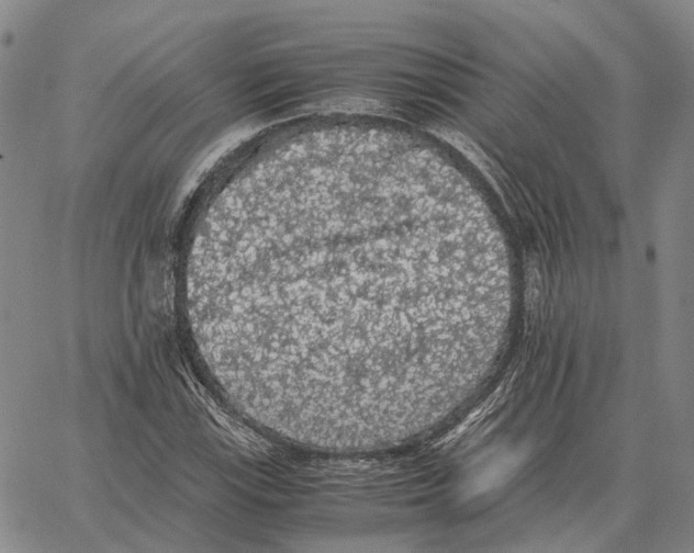 X0000062651115200601181803