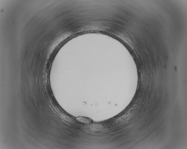 X0000062651119200601181803