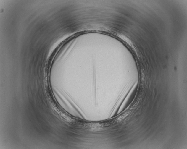 X0000062651120200601181803