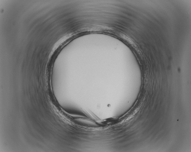 X0000062651122200601181803