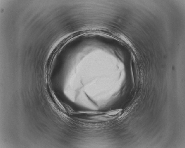 X0000062651124200601181803