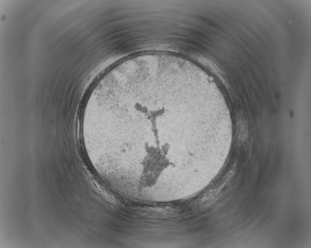 X0000062651125200601181803