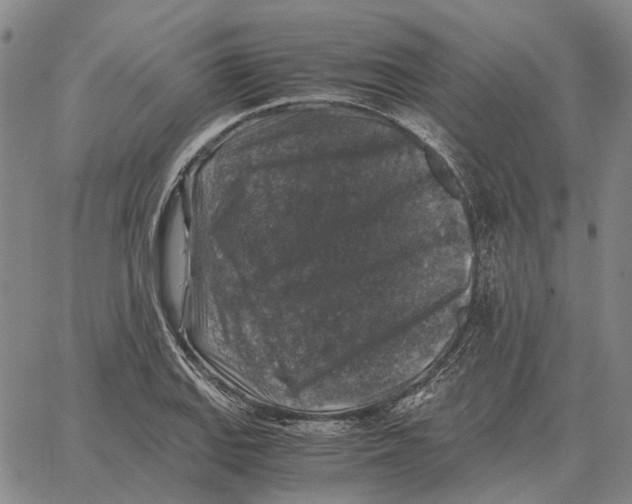 X0000062651127200601181803